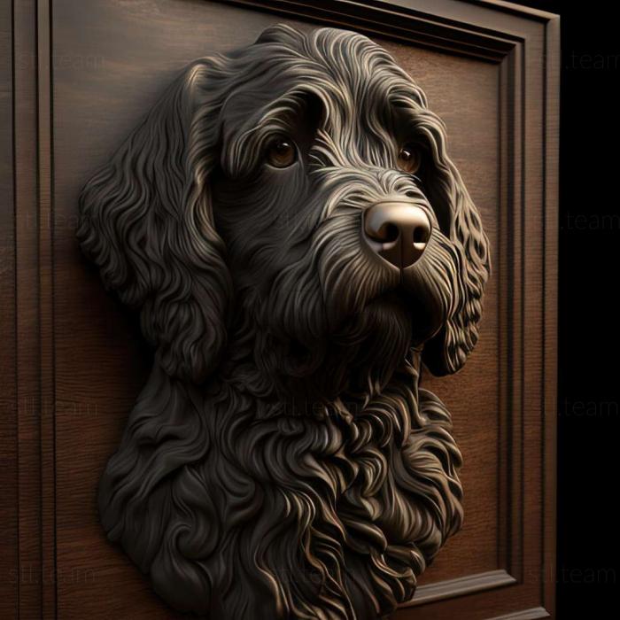 3D model Spanish Water dog (STL)